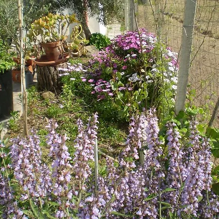 Il Giardino Di Emilio לינה וארוחת בוקר 3*