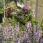 Il Giardino Di Emilio Bed and Breakfast 3*