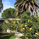 Il Giardino Di Emilio