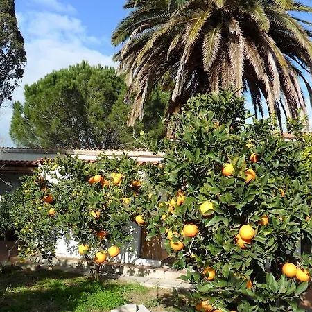 Il Giardino Di Emilio